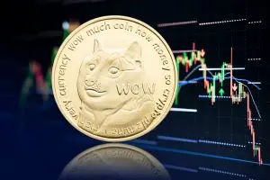 Näin ostat dogecoinia